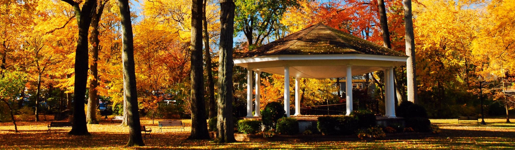 Dumpster Rental FAQs <br>Western Massachusetts backgound banner